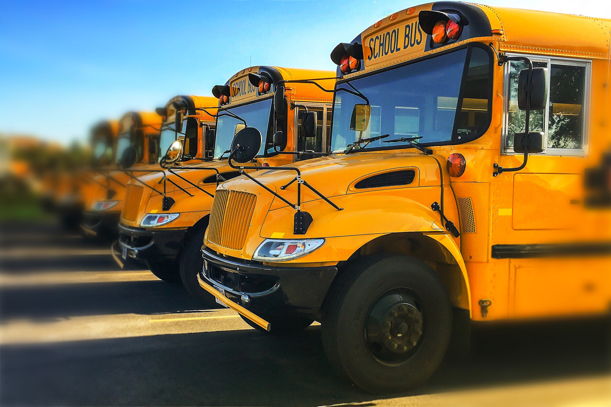 Photo of school buses in a row in a parking lot