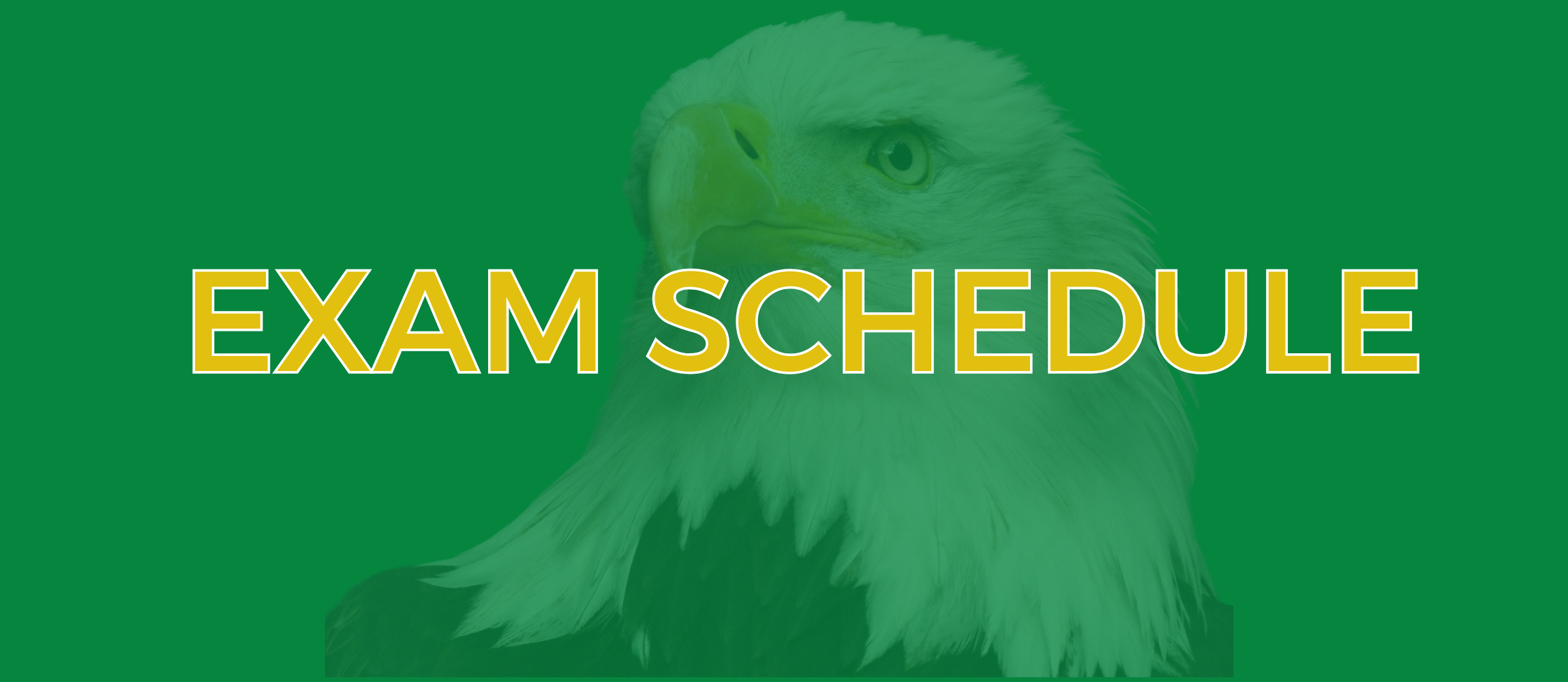 Follow Link to Fall Exam Schedule