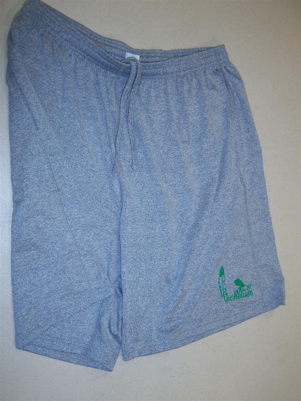 grey athletic shorts with small green school logo