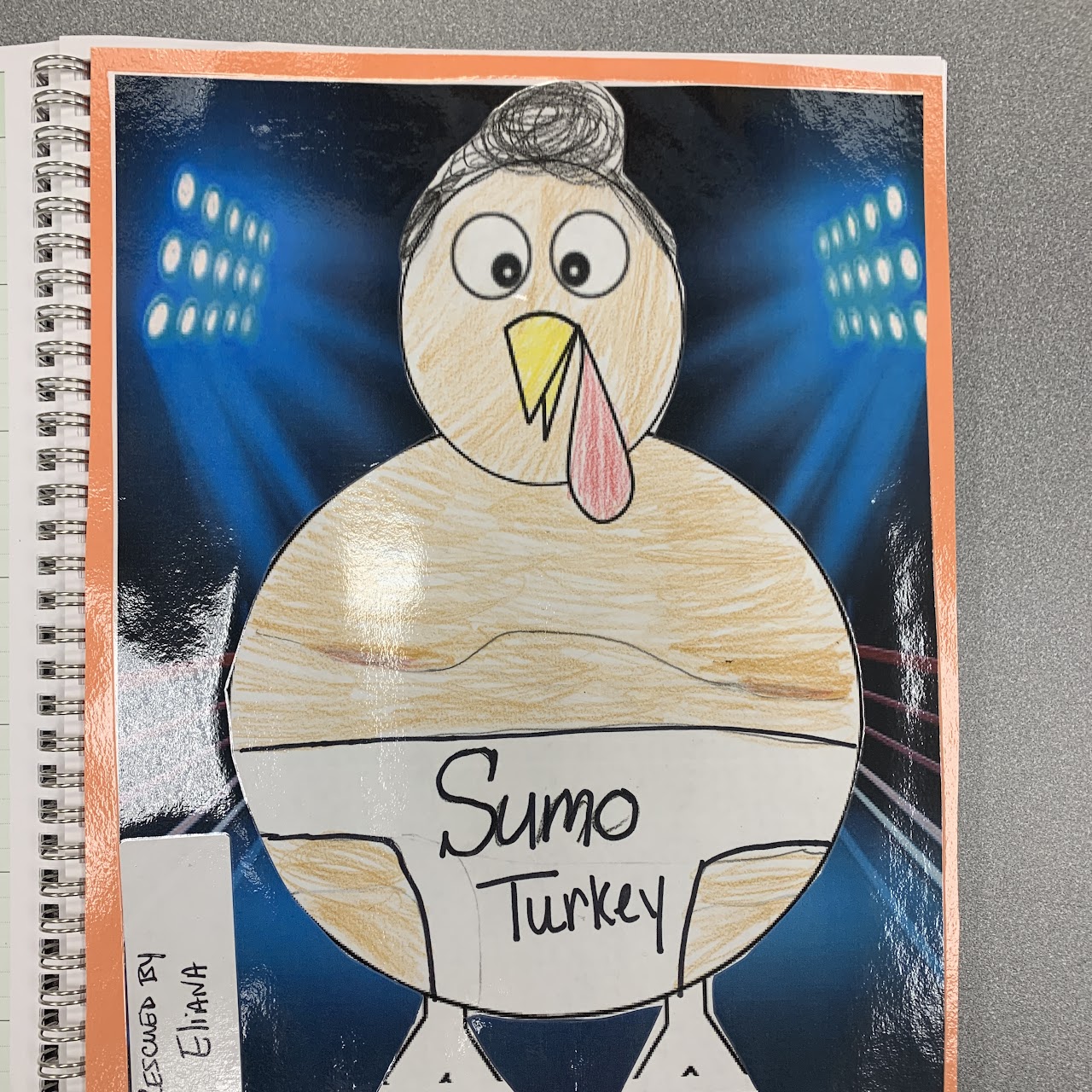 Sumo Turkey Rescued by Eliana