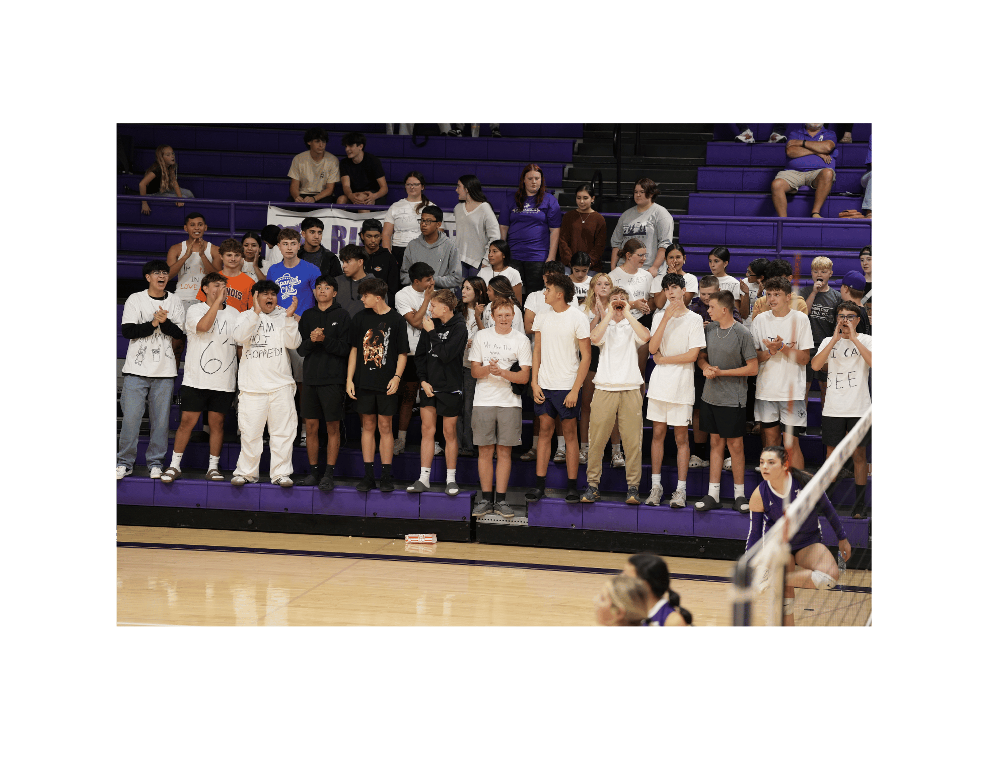 Student Section