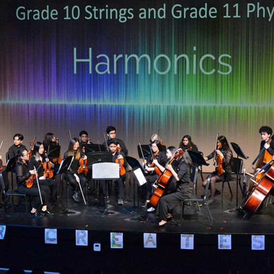 A group of students playing the harmonics.