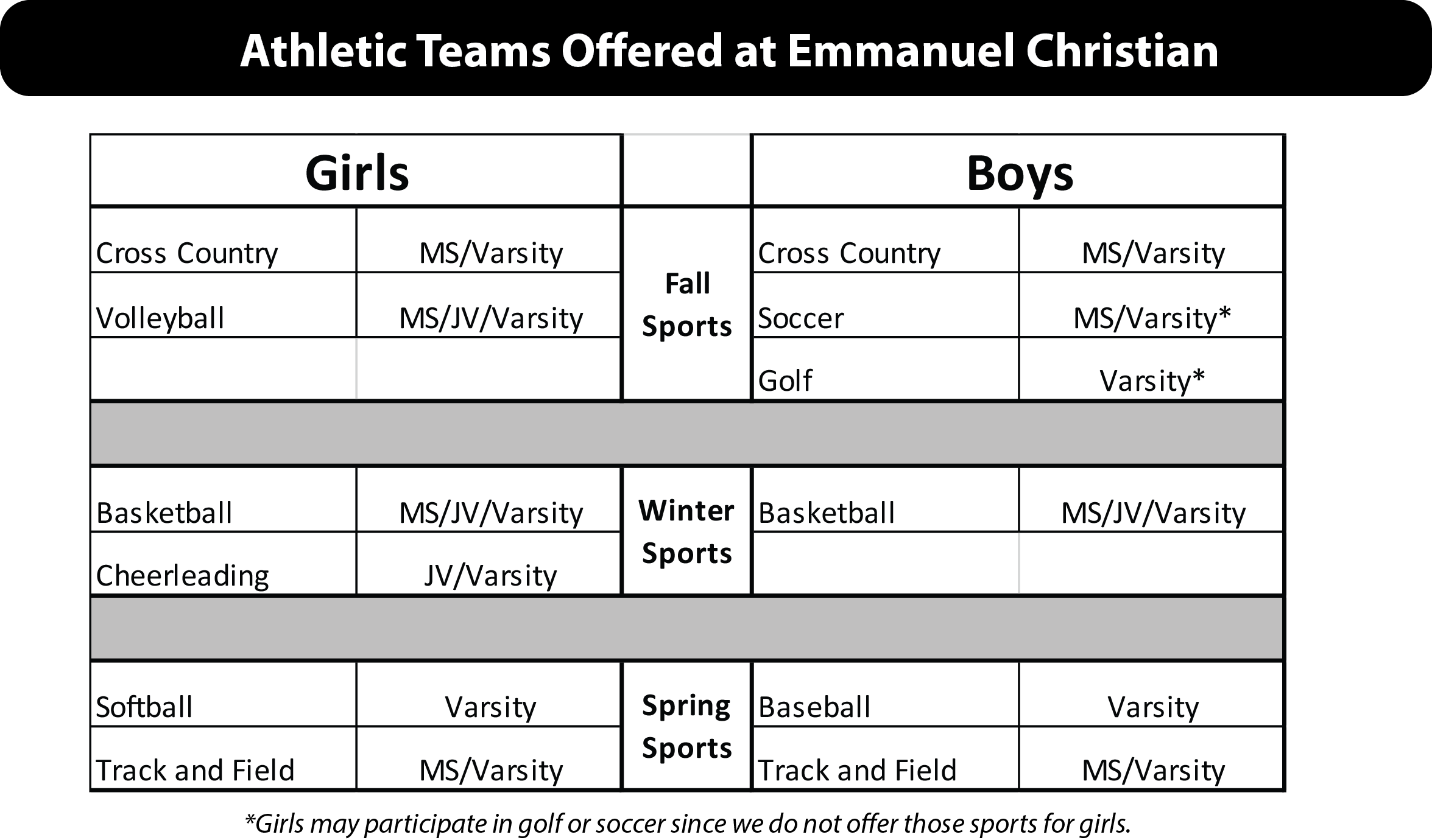 Athletic Teams Offered at Emmanuel Christian.