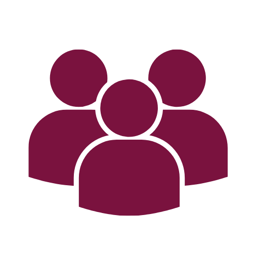 PEOPLE ICON