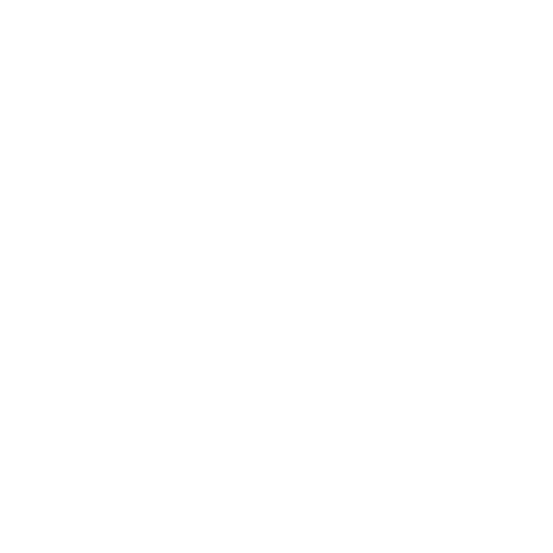 wHITE TARGET ICON