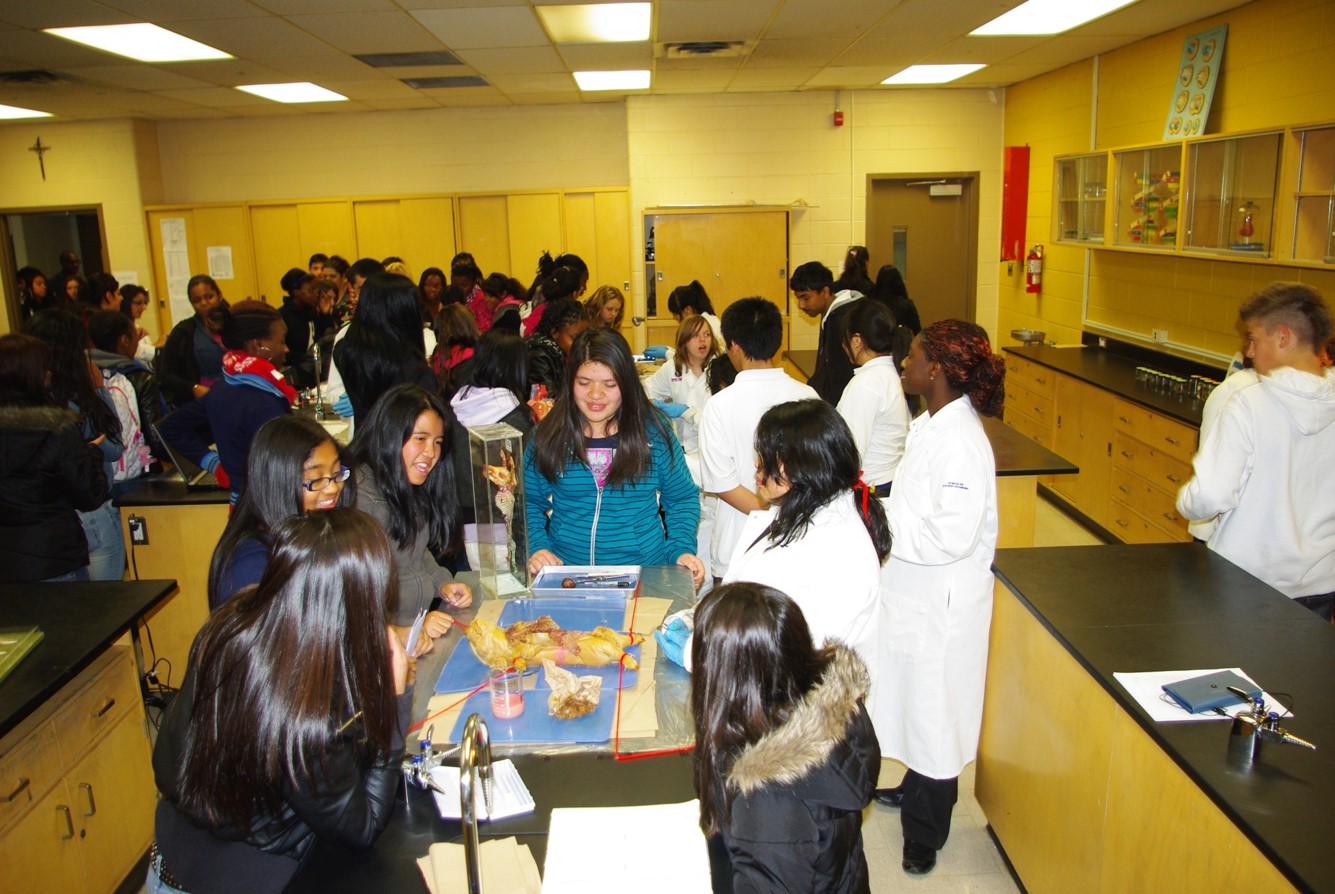 Group of students performing dissection