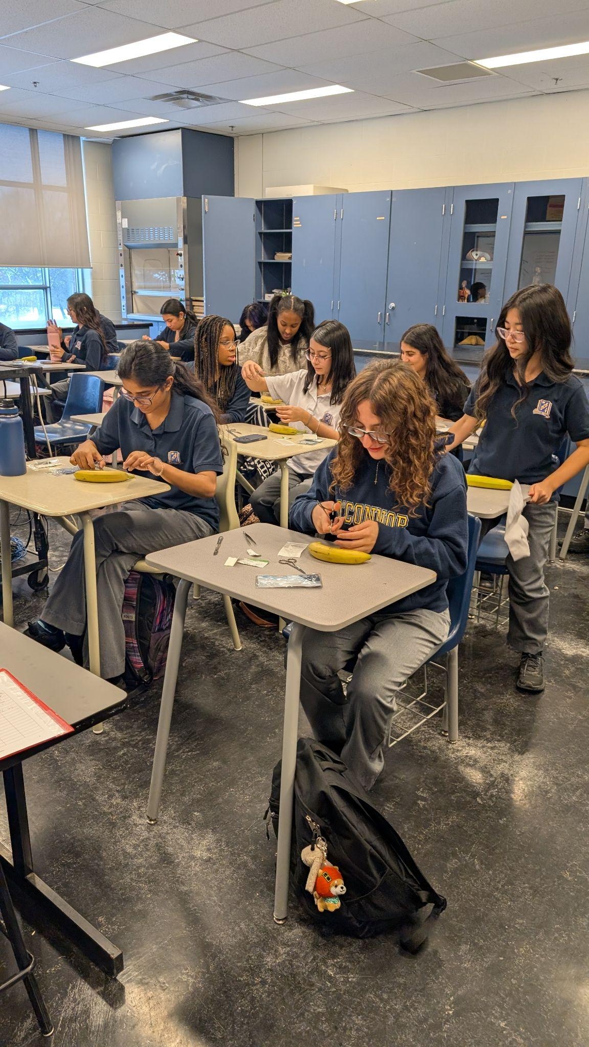 Students work at classroom tables in a science lab working at an activity