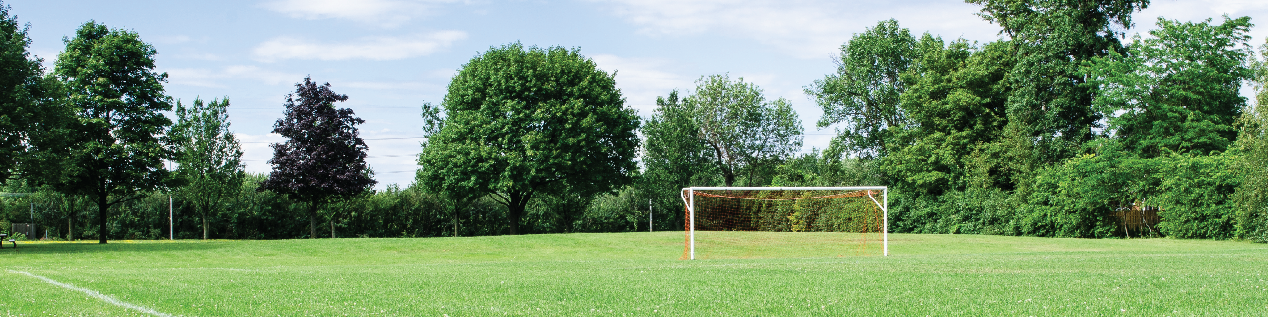 An empty soccer field.