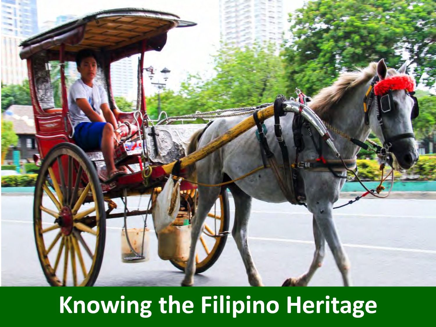 Knowing the Filipino Heritage - Photo of a boy taking a horse carriage ride