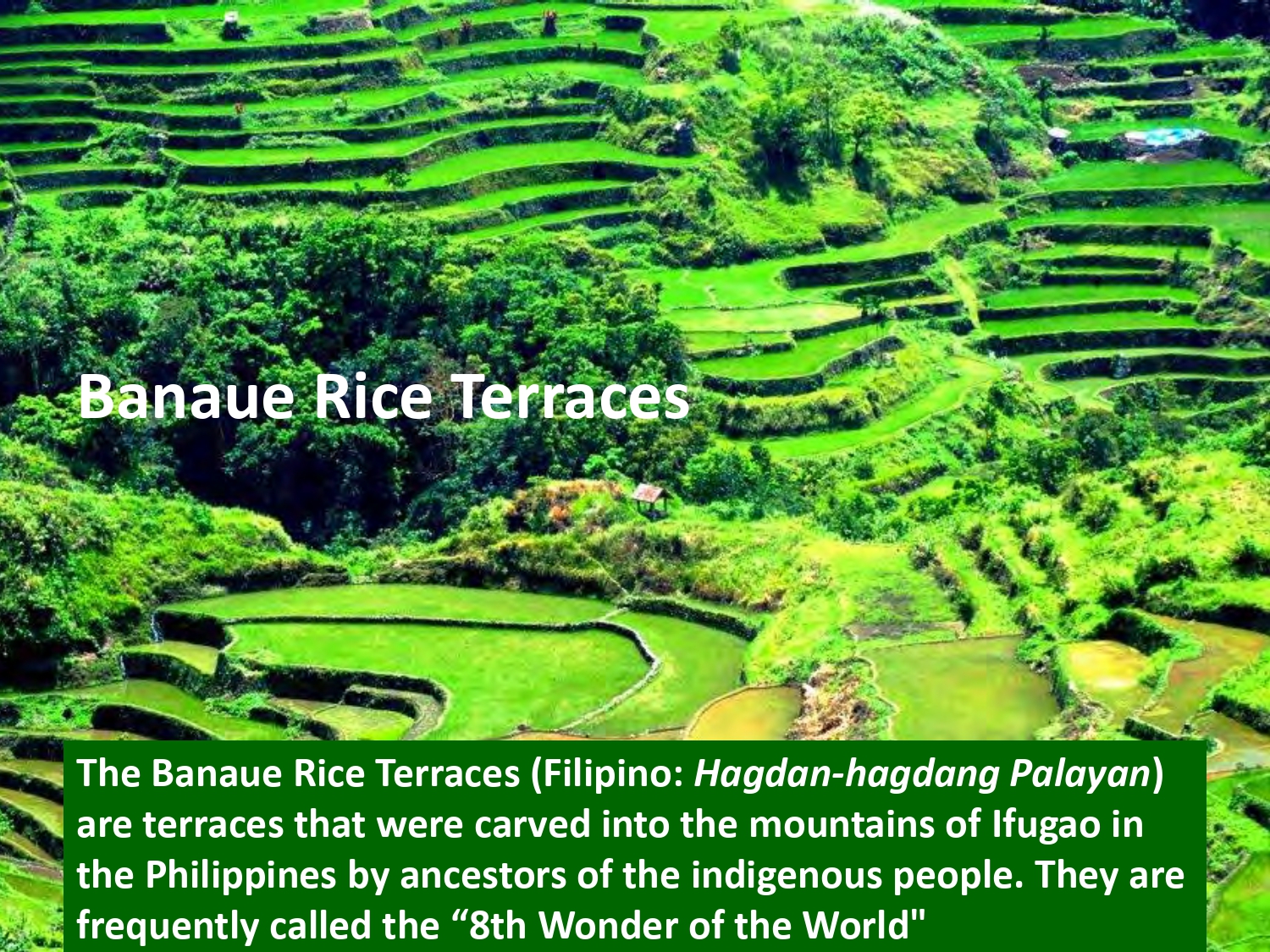 The Banaue Rice Terraces (Filipino: Hagdan-hagdang Palayan) are terraces that were carved into the mountains of Ifugao in the Philippines by ancestors of the indigenous people. They are frequently called the “8th Wonder of the World"