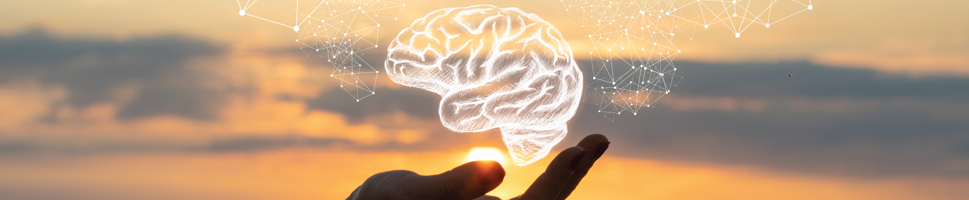 A hand holding an illustration of a brain with a sunset in the background.