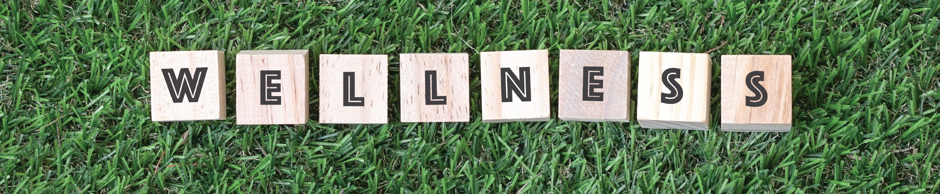 The word “wellness” spelled out with wooden blocks.