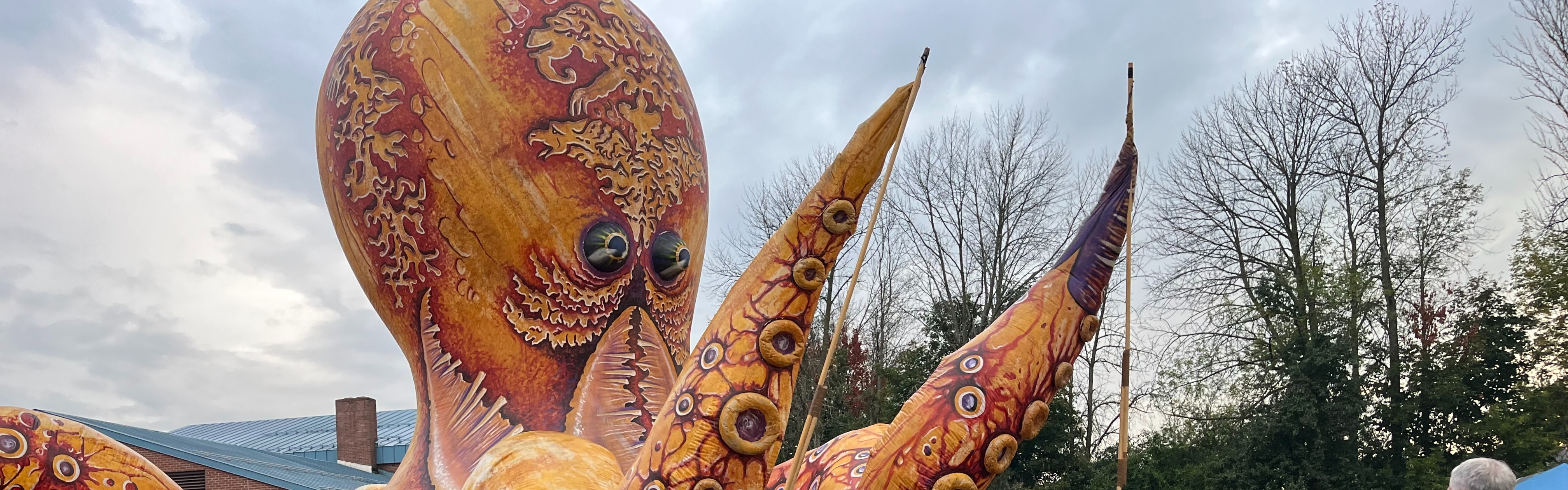 Octopus