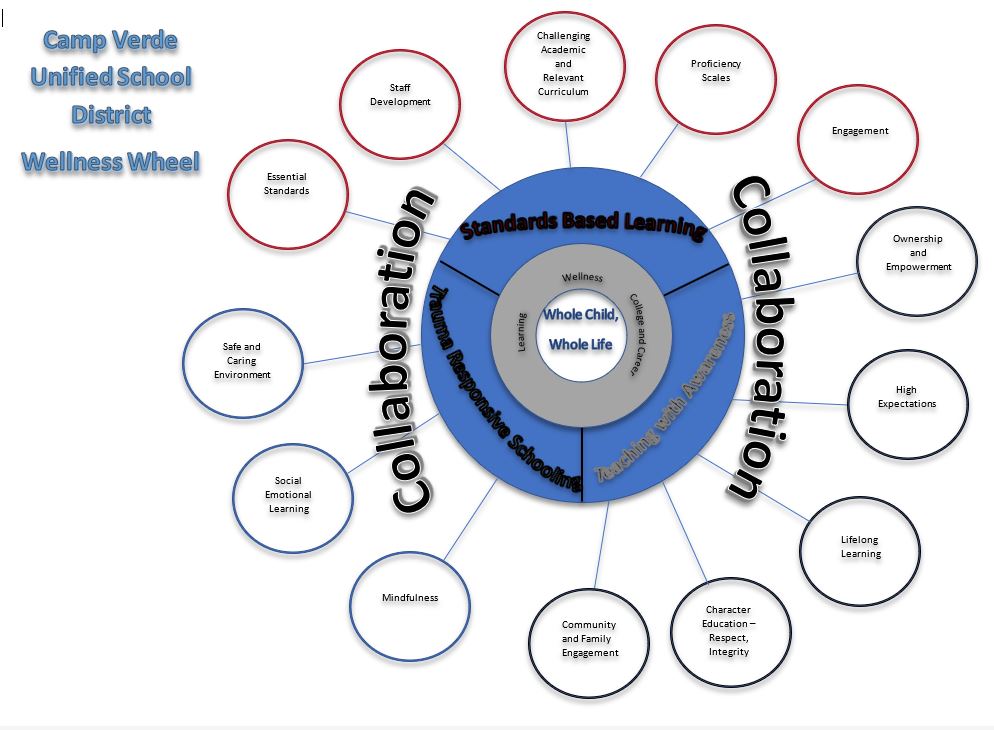 CVUSD student wellness wheel 