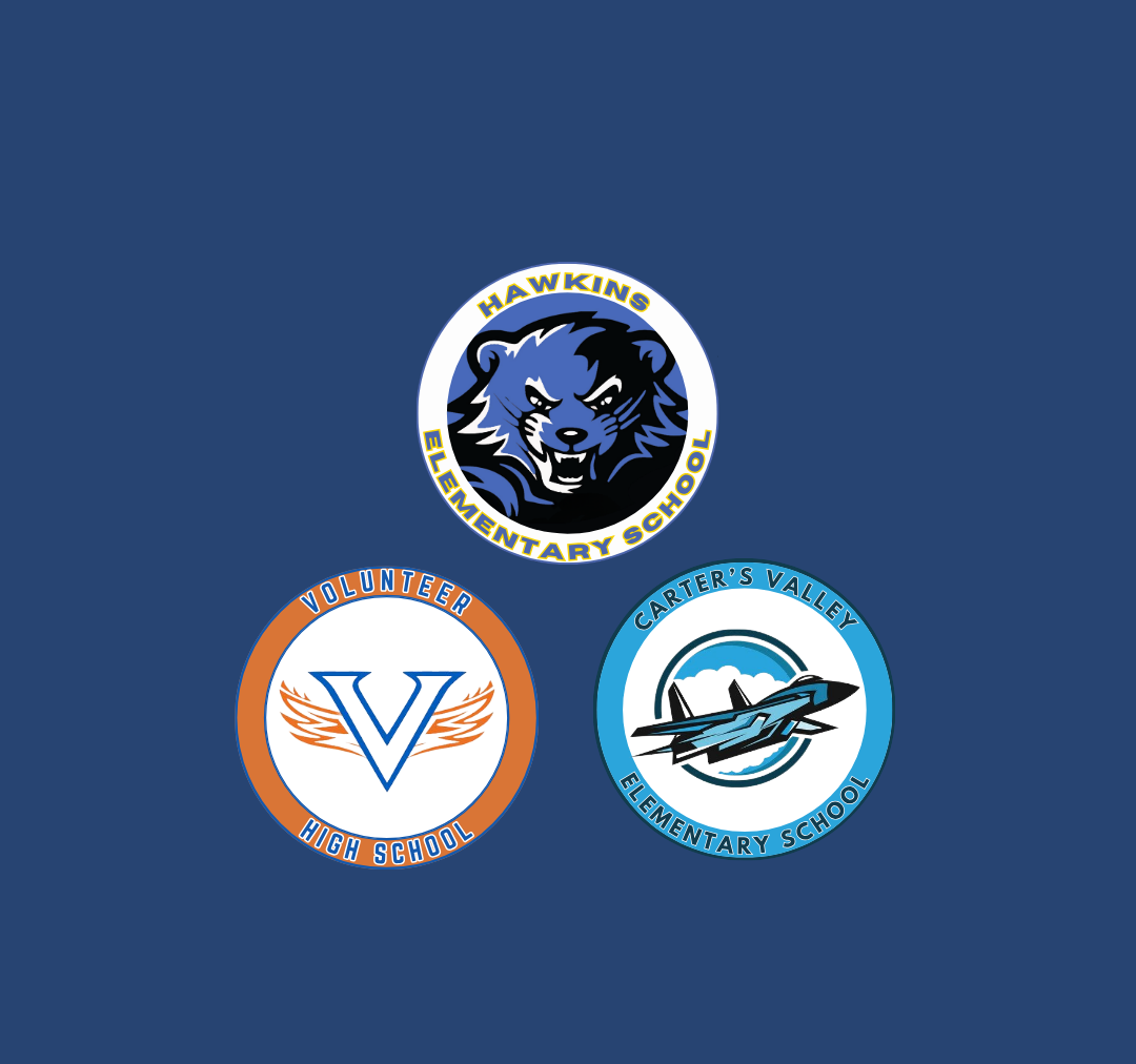 Three school emblems on a blue background: one with a bear, another with a letter V, and the last with a jet.