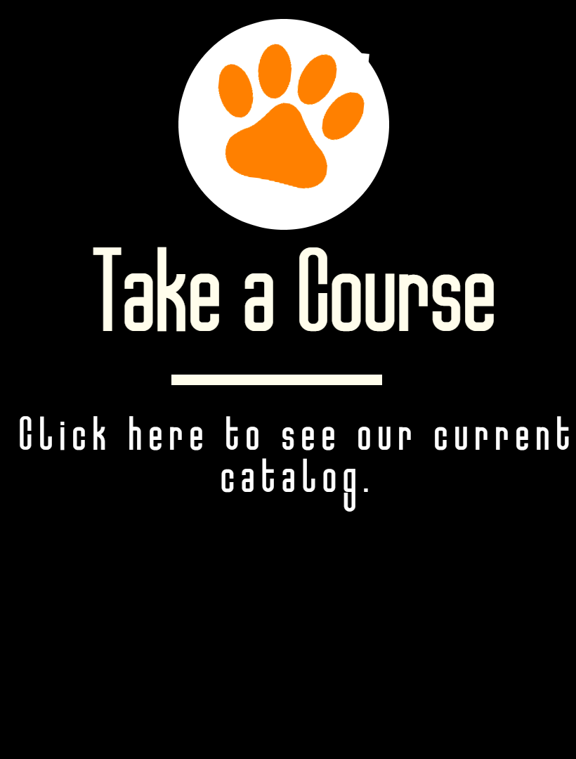 Take a Course - Click here to see our current catalog
