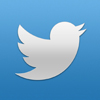 Twitter logo and button