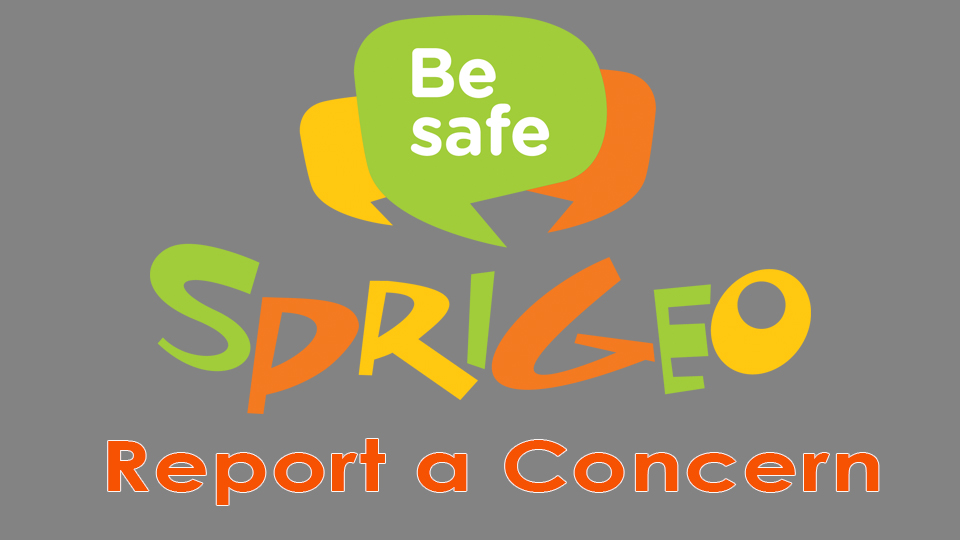 report a concern sprigeo button "be safe"