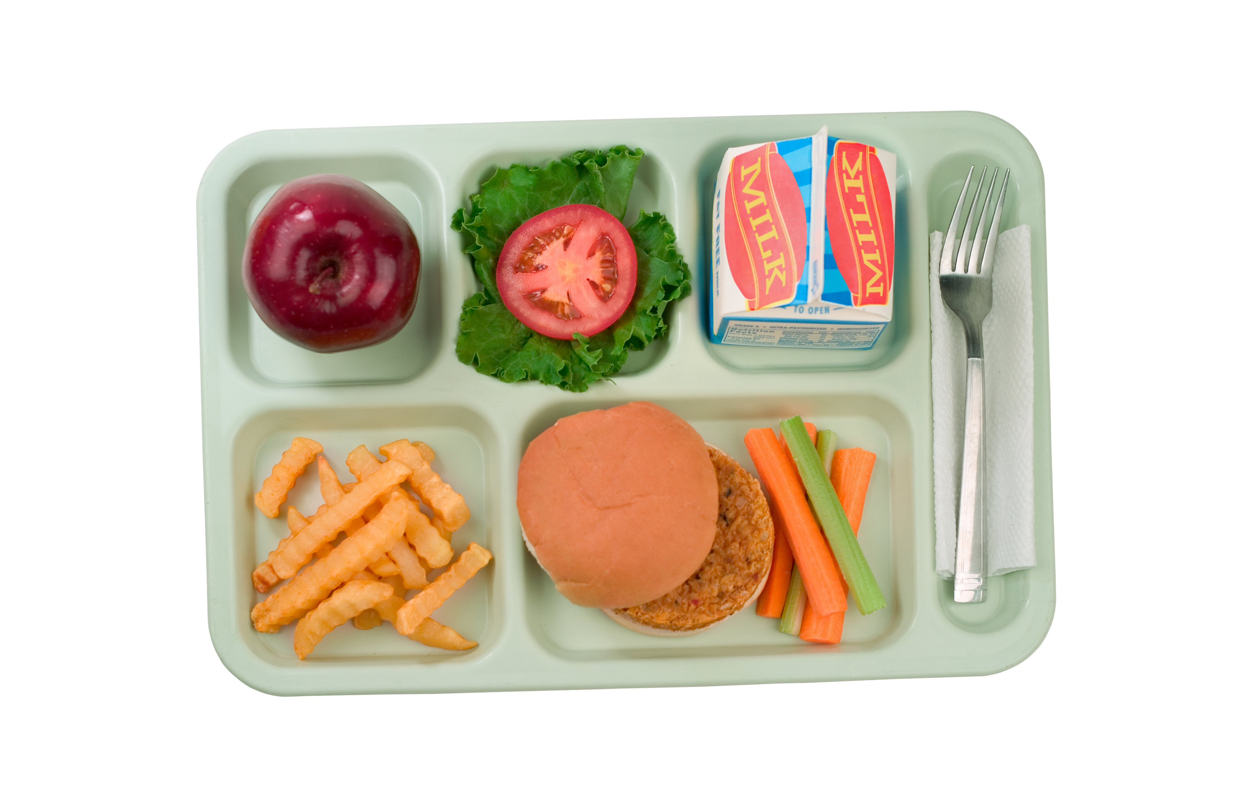 school lunch tray