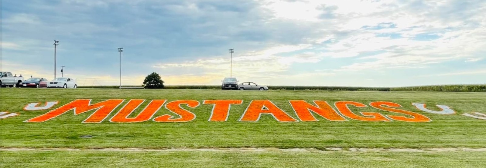 Mustangs