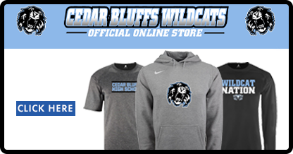 online store
