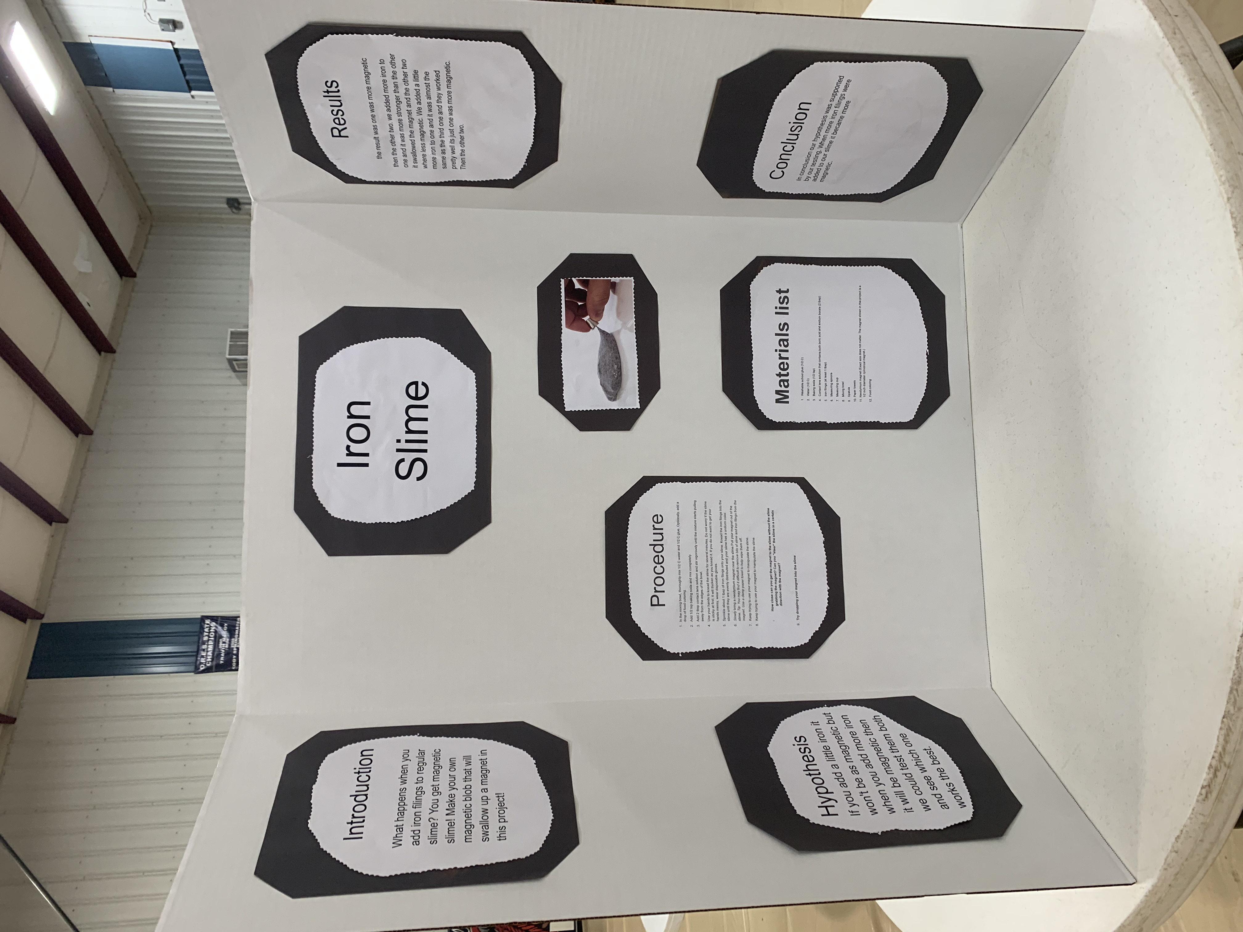 Science Fair