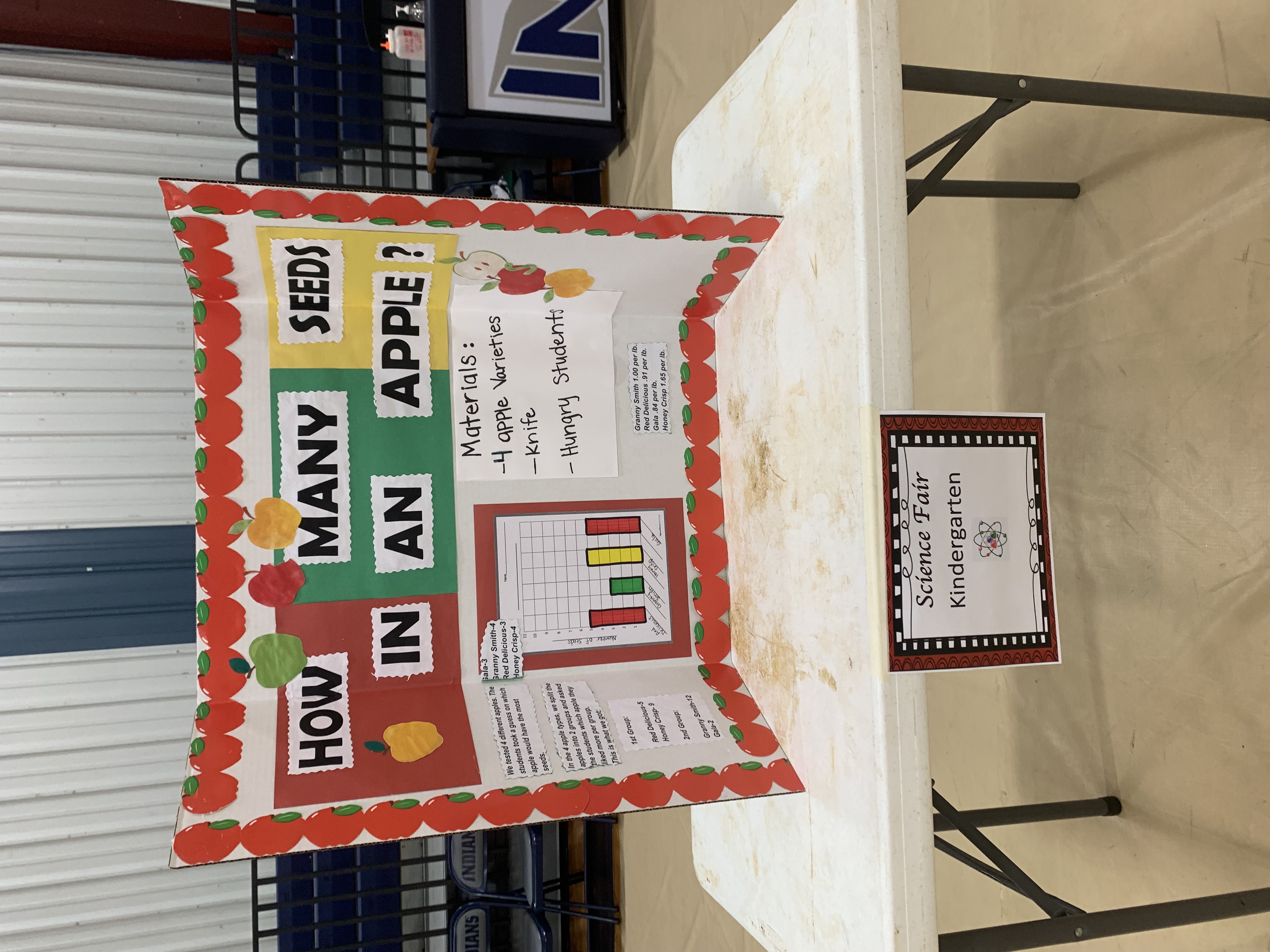 Science Fair