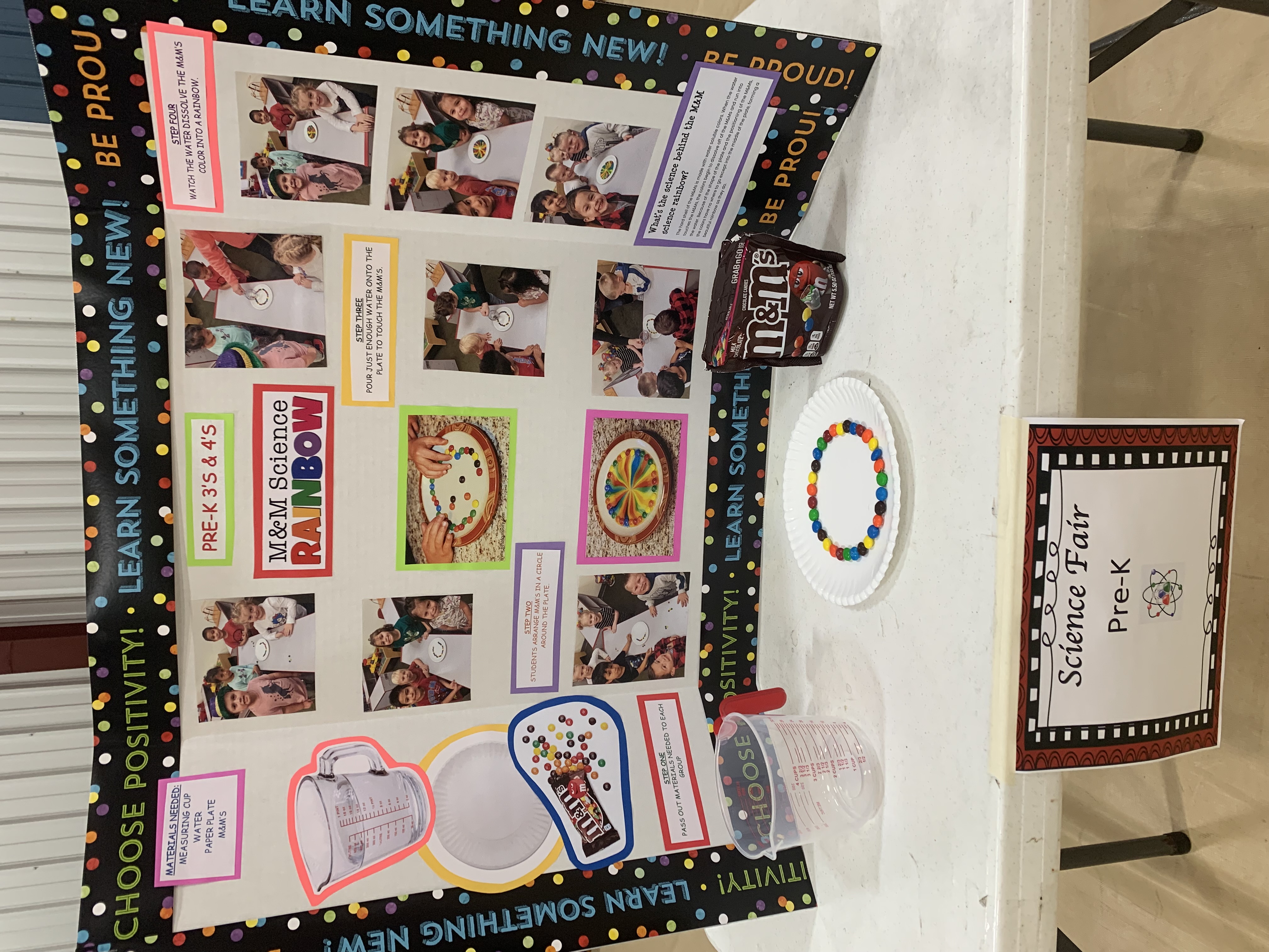 Science Fair