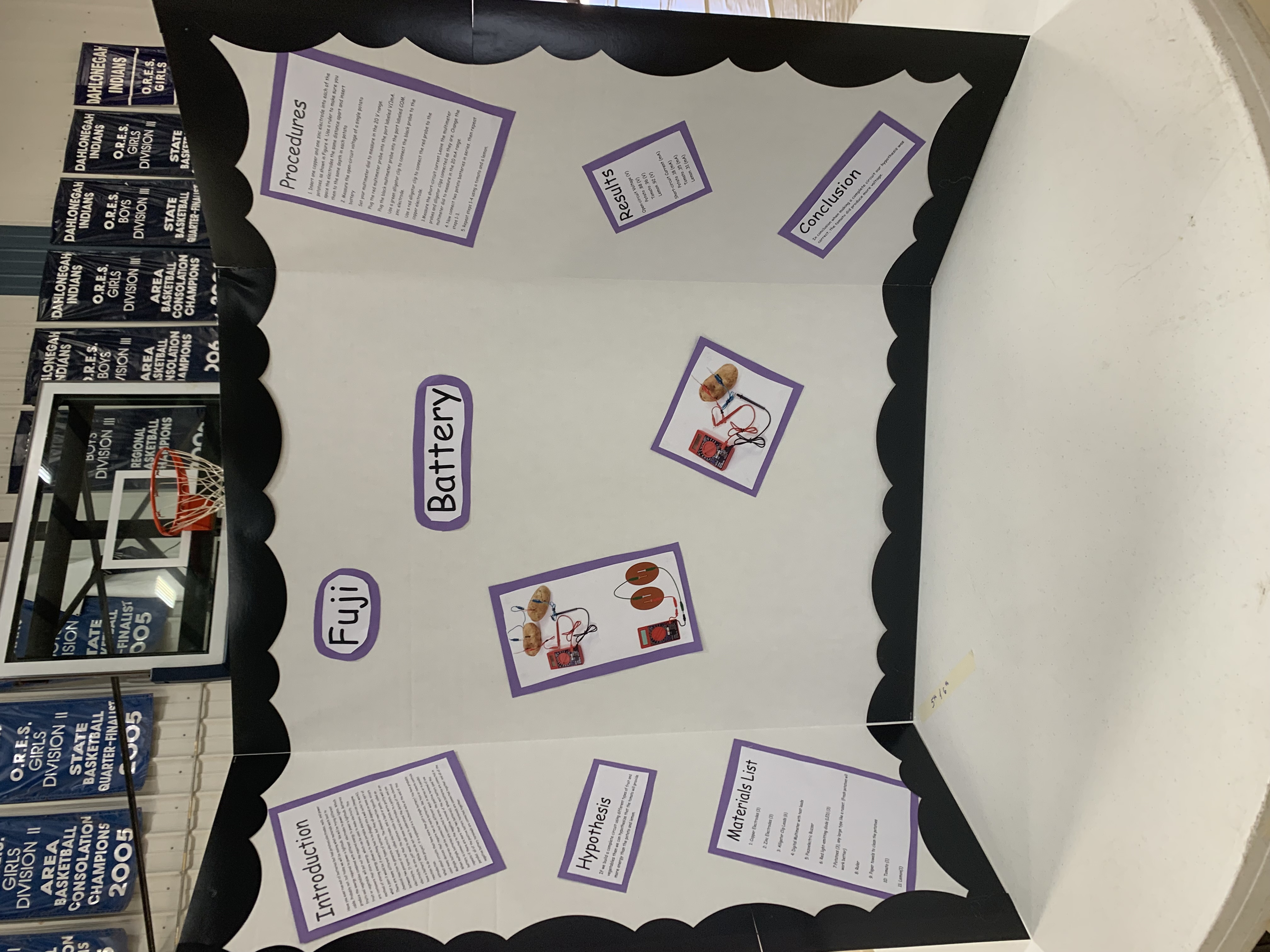 Science Fair