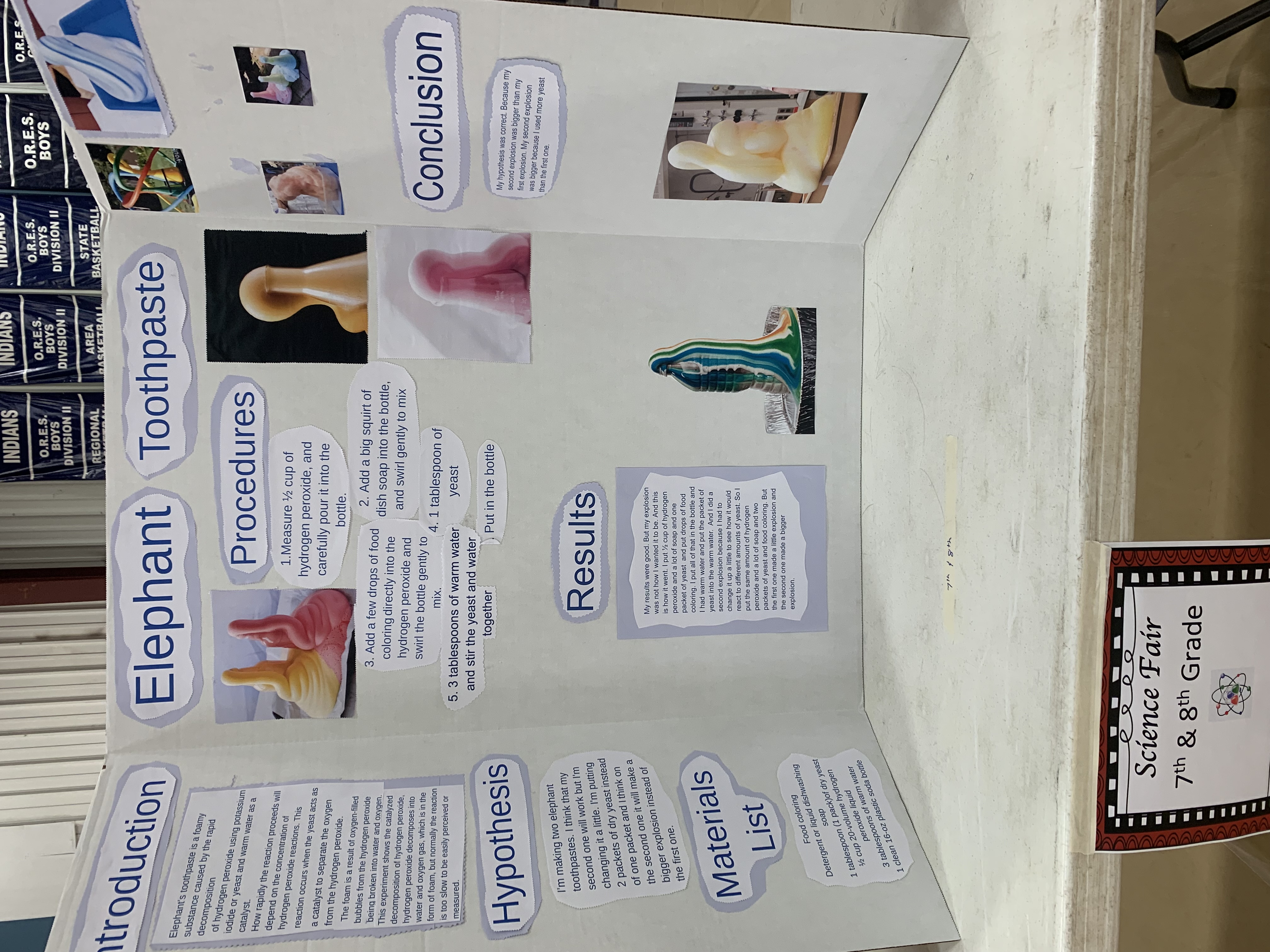 Science Fair