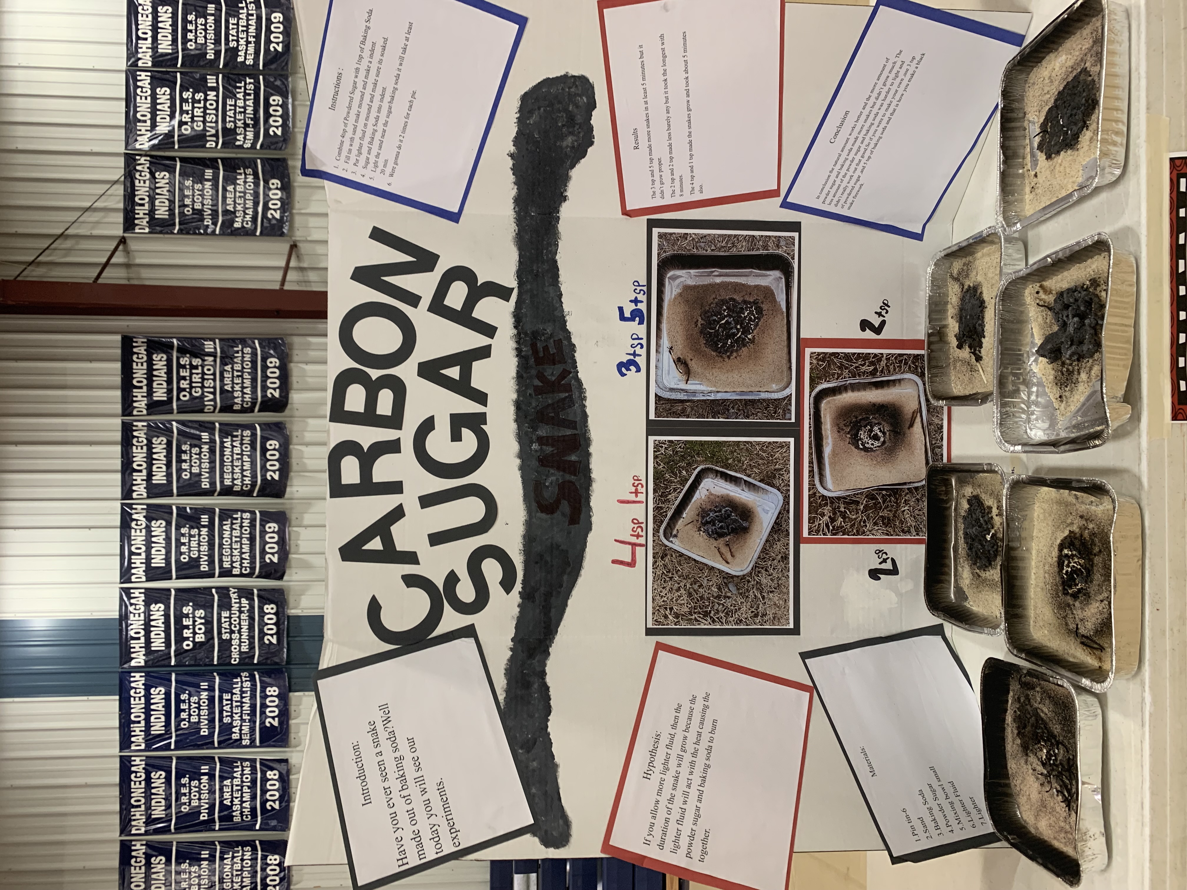 Science Fair