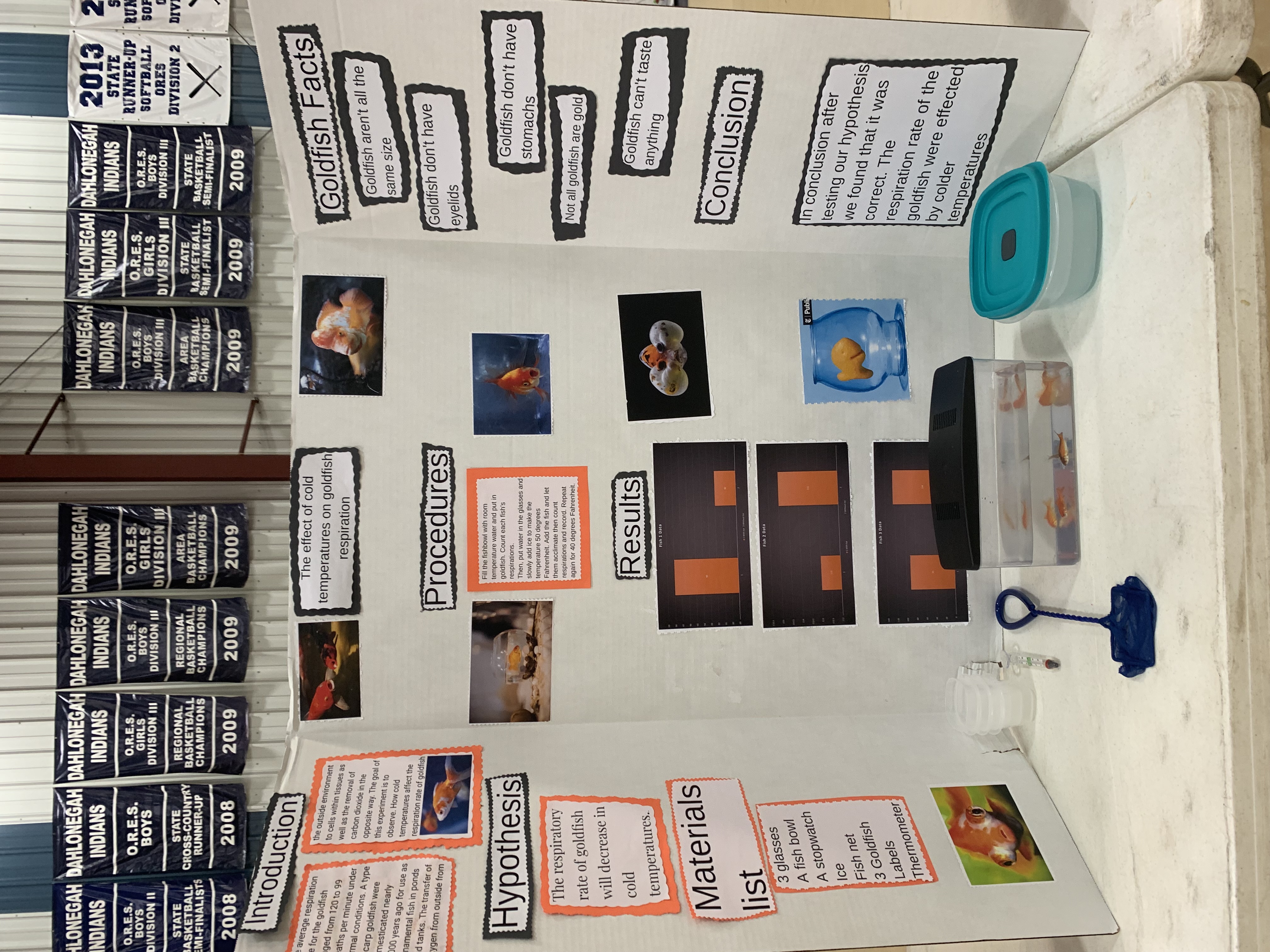 Science Fair