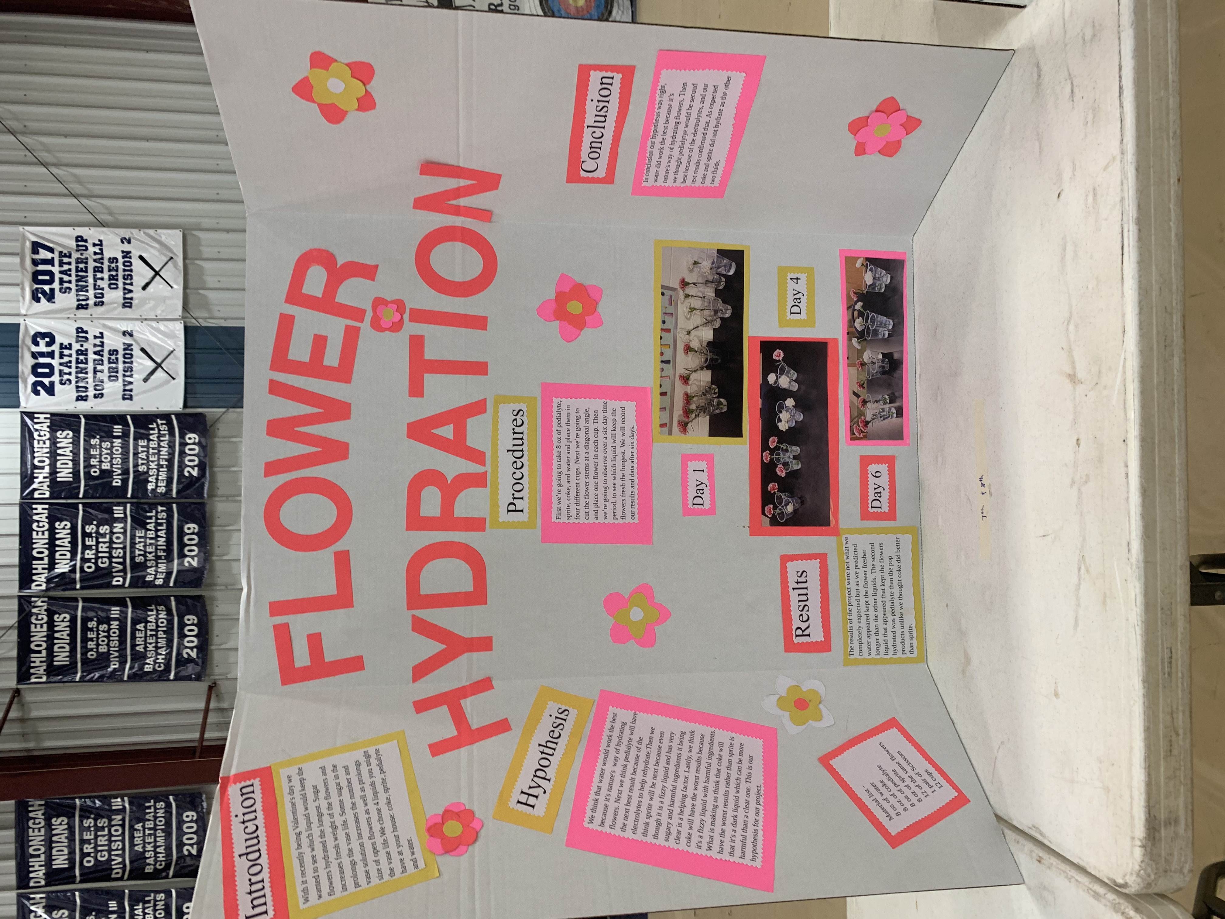 Science Fair