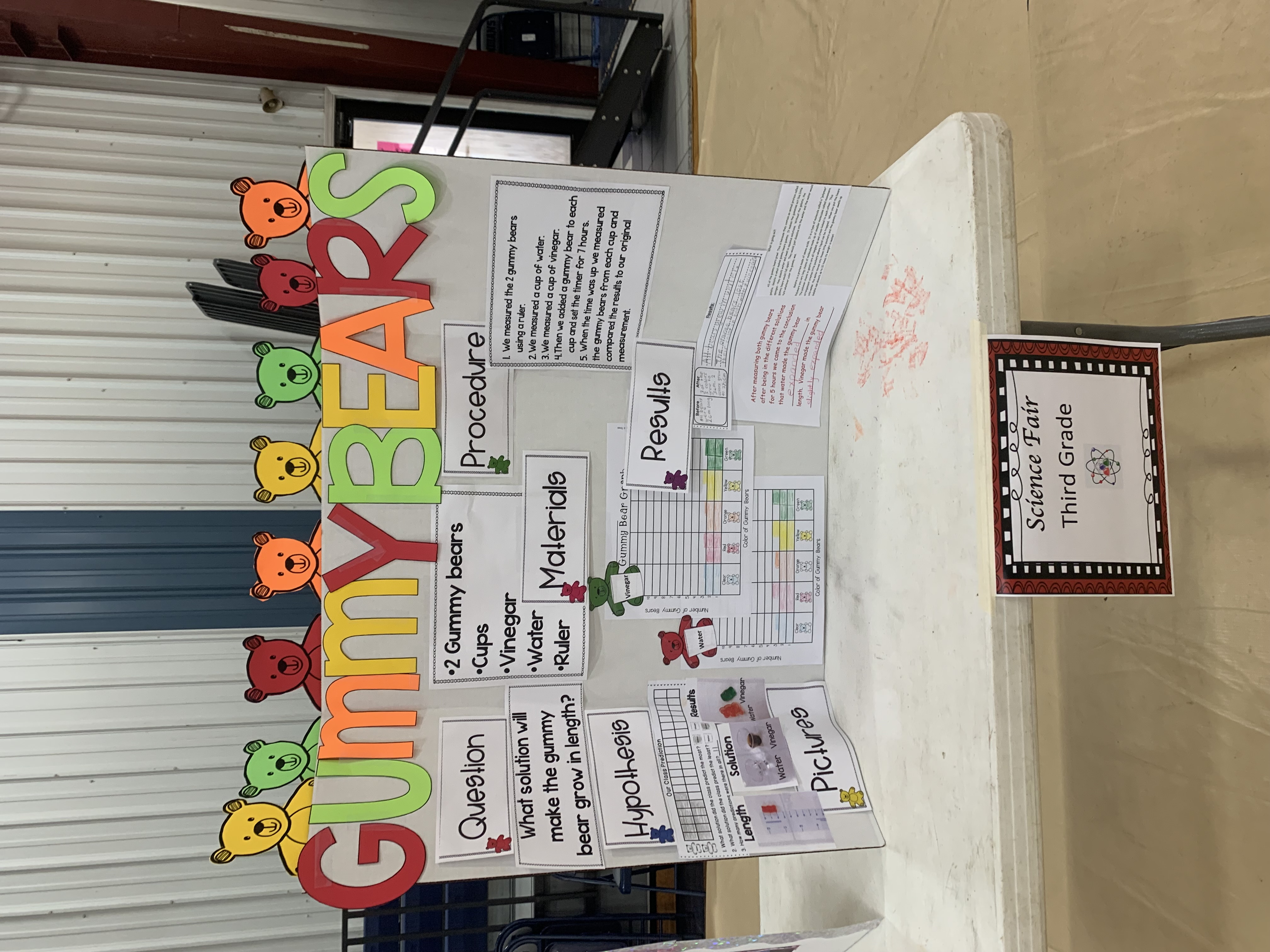 Science Fair