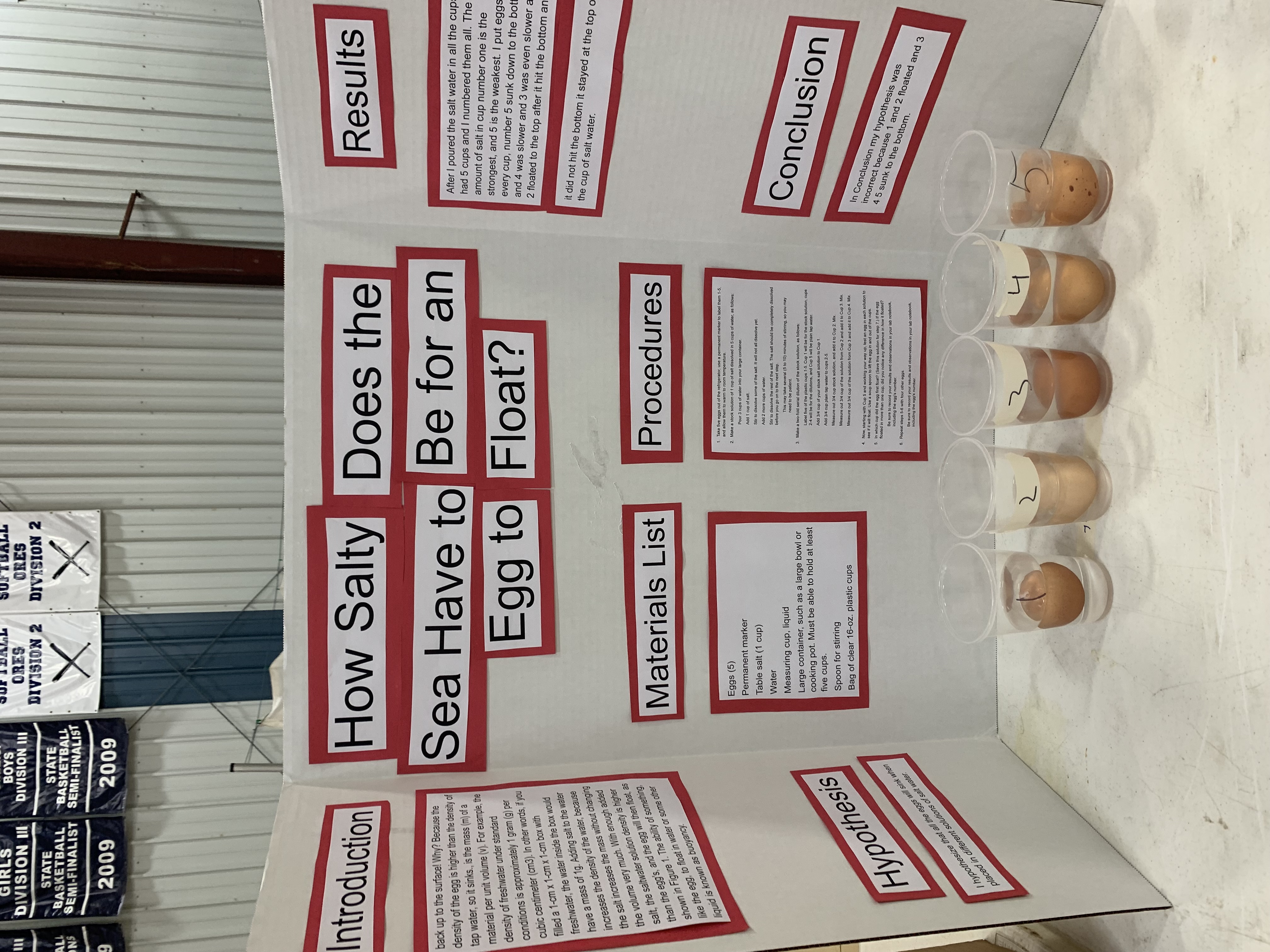 Science Fair