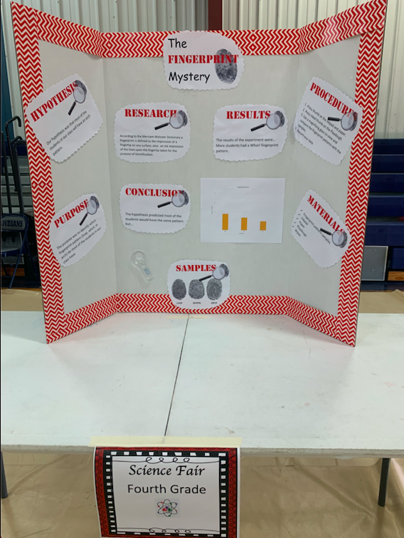 Science Fair