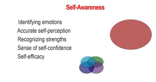 Five Core Areas of Social and Emotional Competence