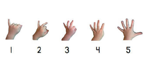 Hands counting with fingers