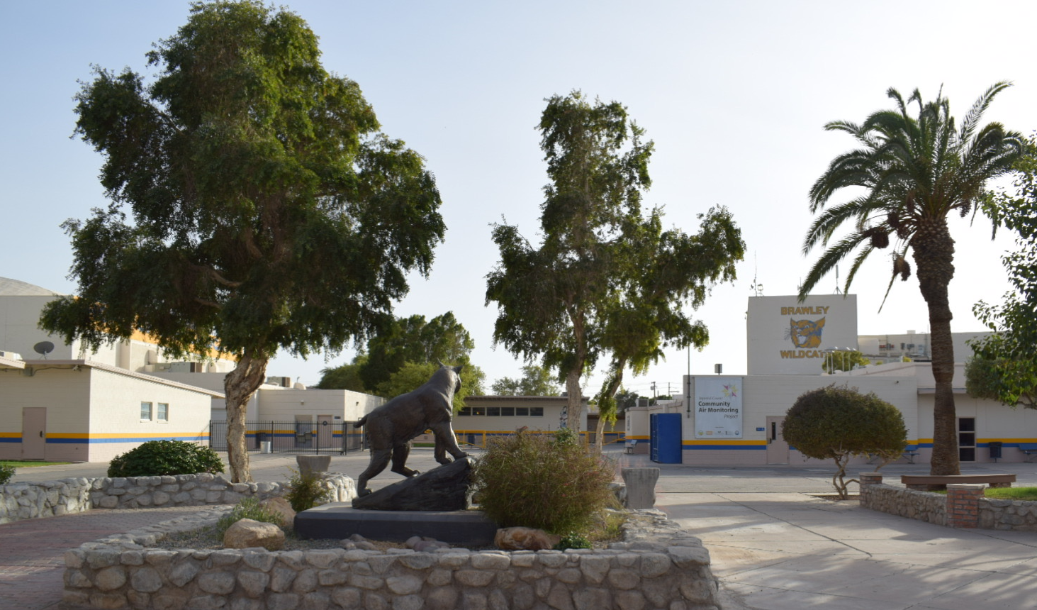 MIddle of BUHS campus, buildings and wildcat statue