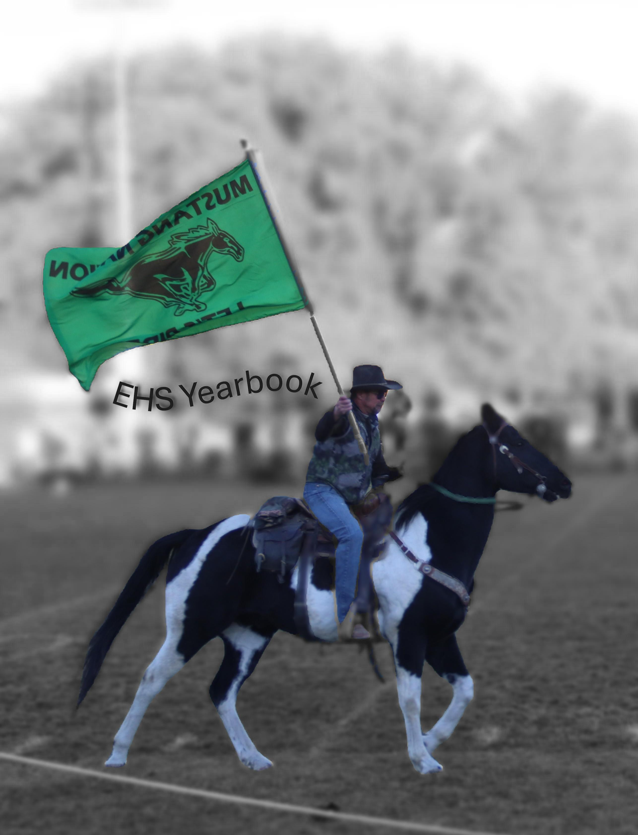 Mustang Flag