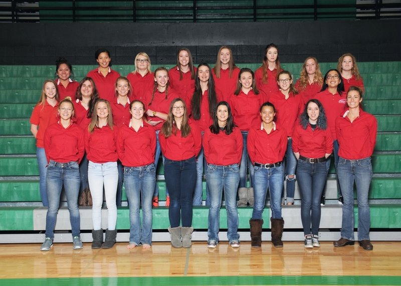 picture of the FCCLA group
