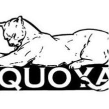 Sequoyah Cougar