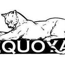 Sequoyah Cougar