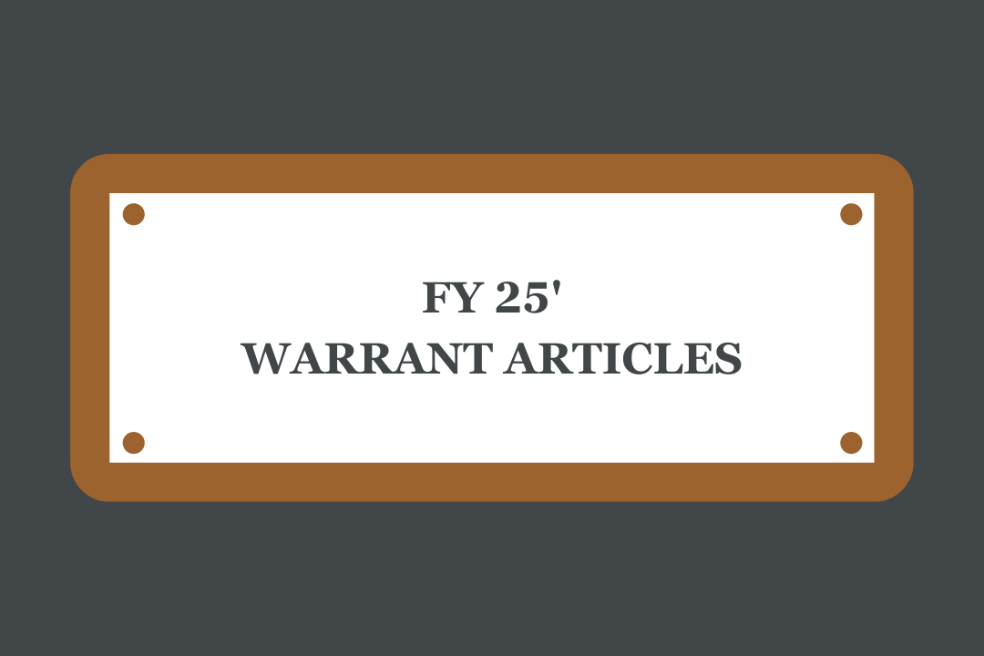 warrant articles 