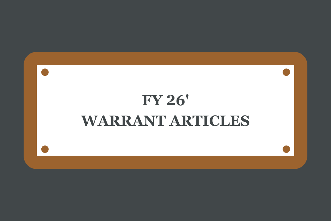 warrant articles 