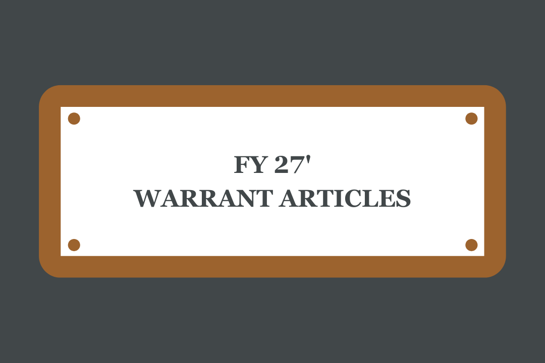 warrant articles 
