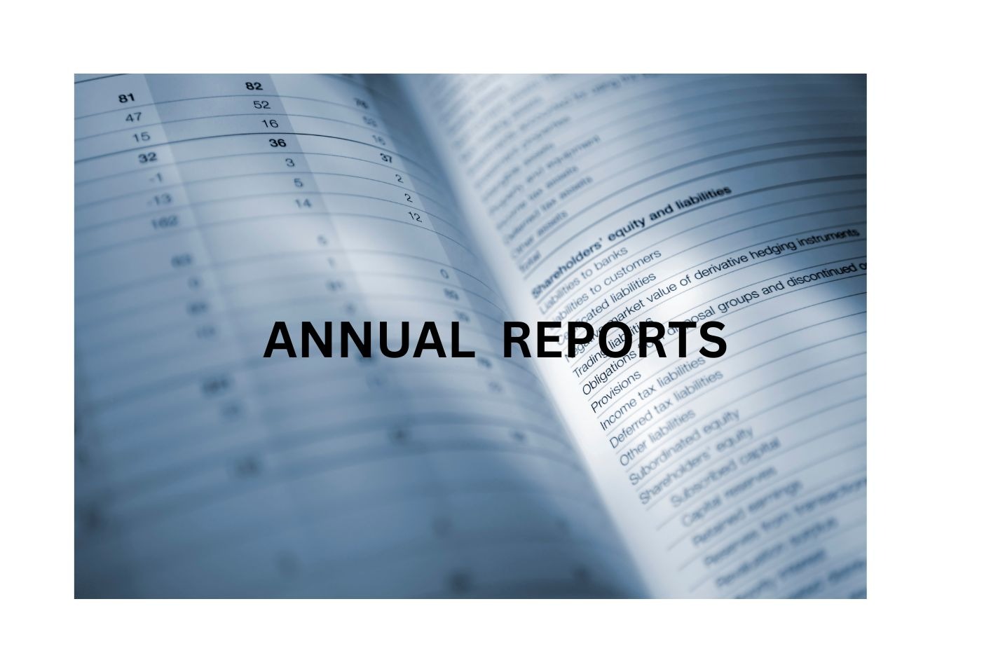 annual reports