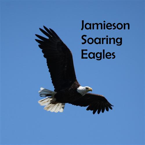 jamieson soaring eagles