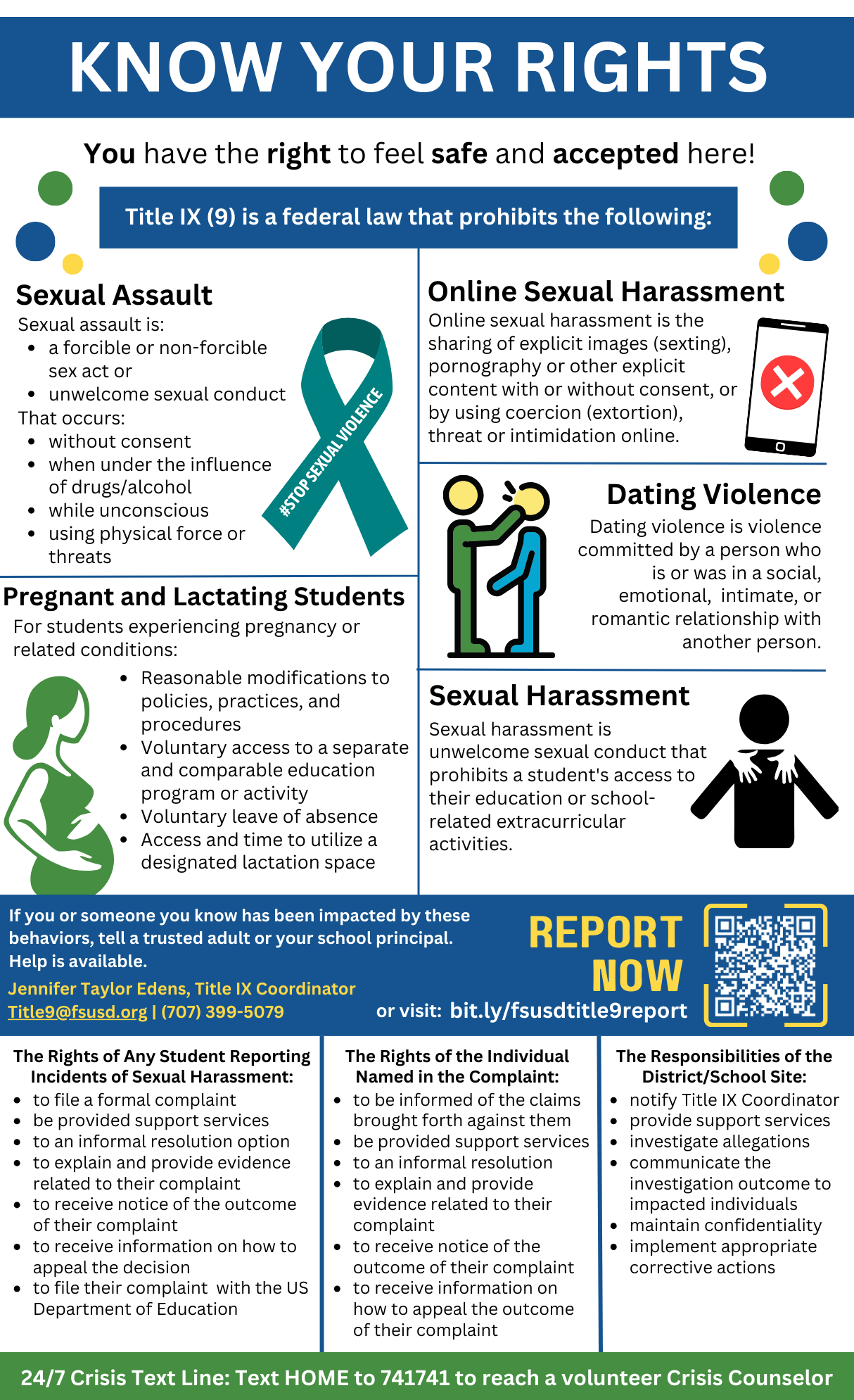 Title ix flyer