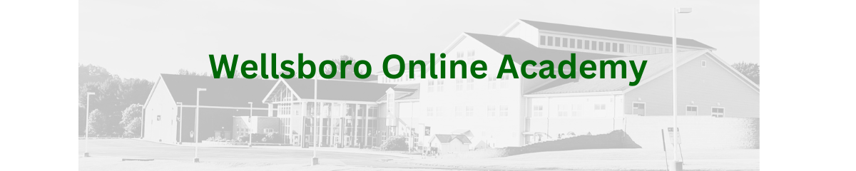 Wellsboro online academy